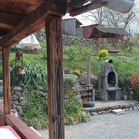 Meselak Villa Ocna de Sus Luaran gambar