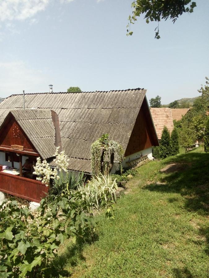 Meselak Villa Ocna de Sus Luaran gambar