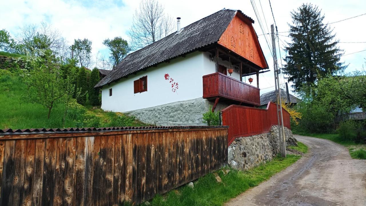 Meselak Villa Ocna de Sus Luaran gambar